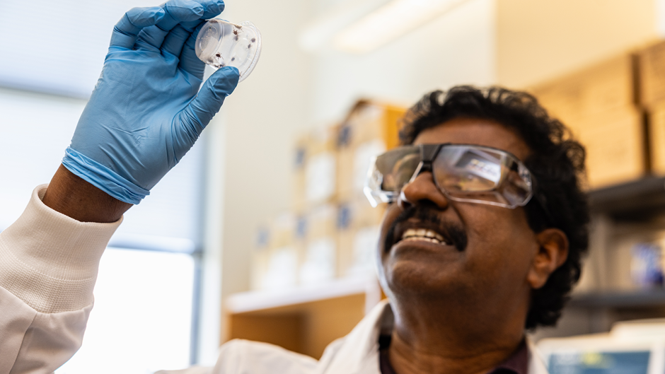 A Faster Detection Method for Rickettsia rickettsii