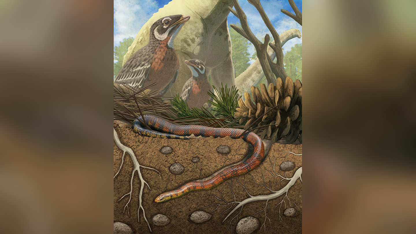 An illustration of a prehistoric snake burrowing underground with birds and dinosaurs in the background