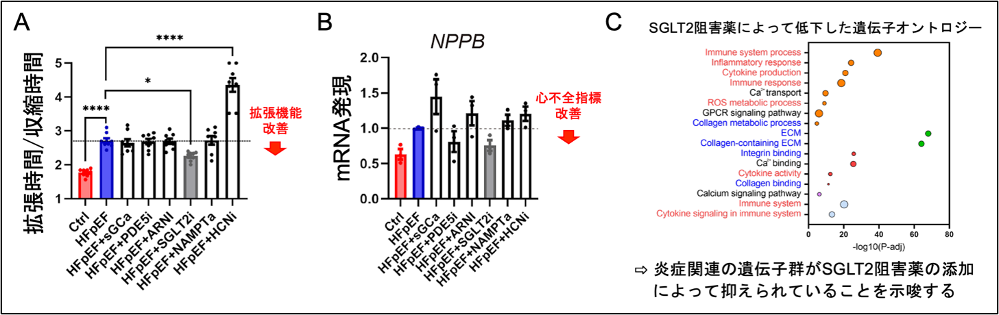 Modeling Heart Failure with Human iPS Cells