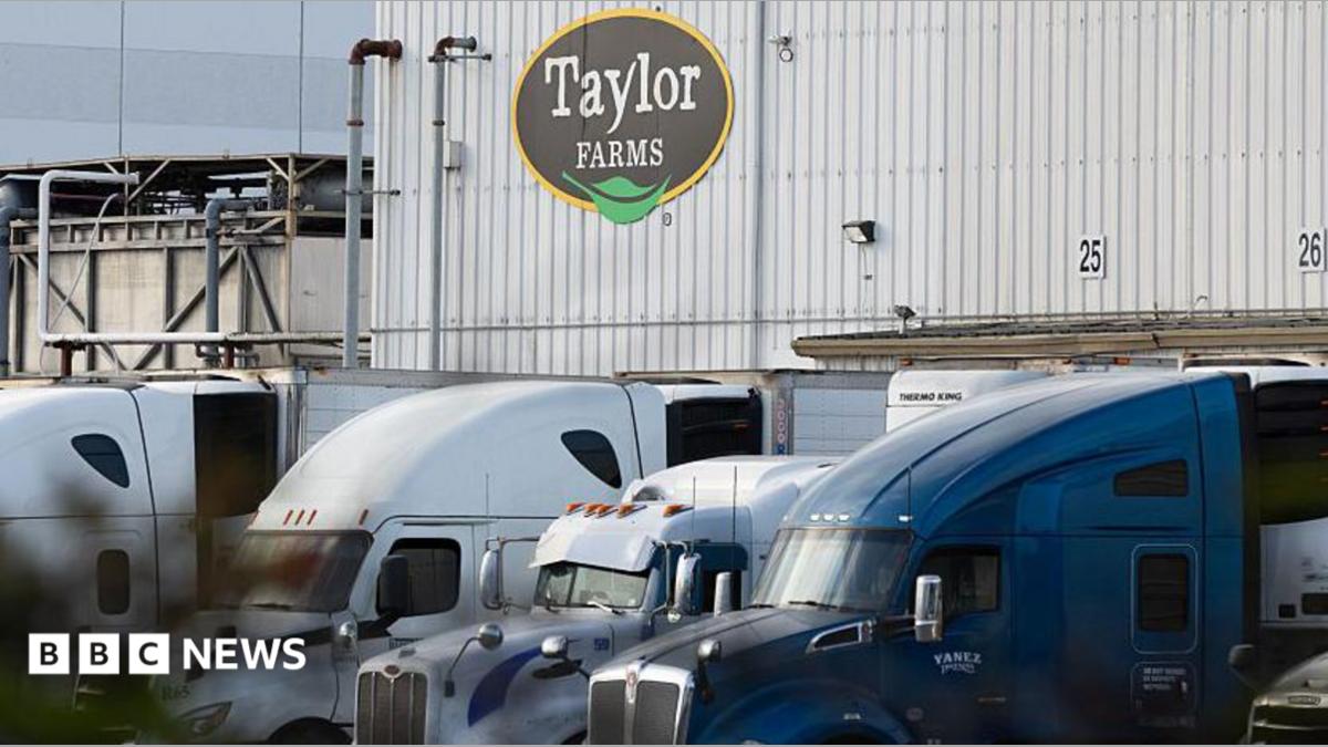 Traceback Investigation and Supply Chain Disruptions