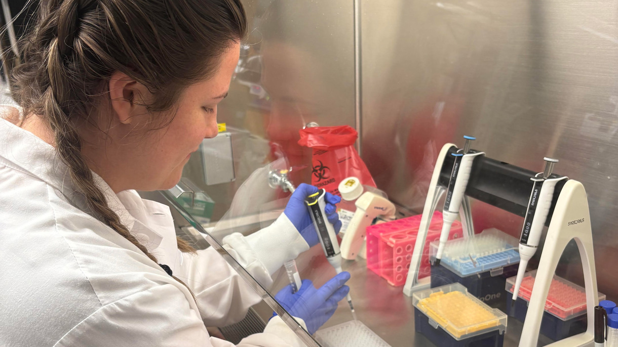 Overcoming the Bottleneck in Genomic Epidemiology