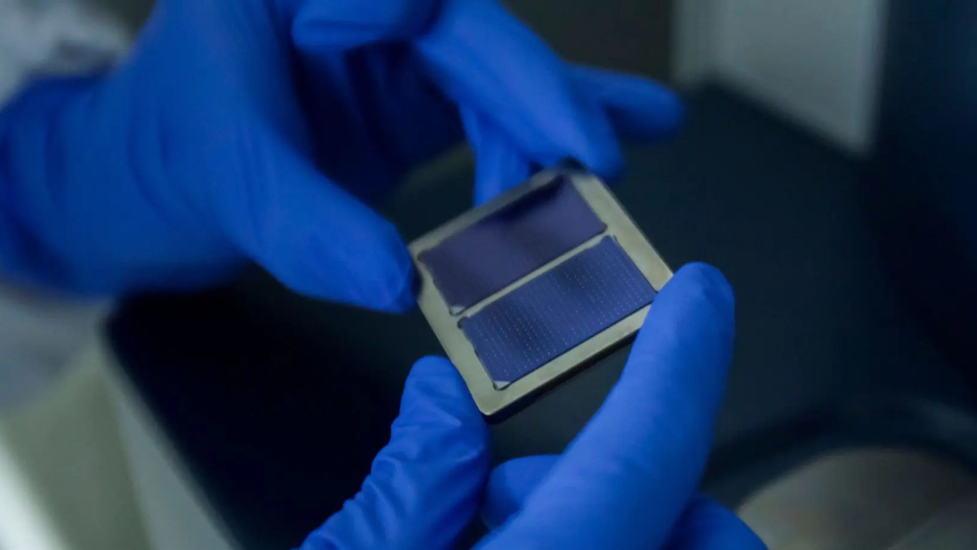 Precision Interface Chemistry Drives Perovskite Efficiency