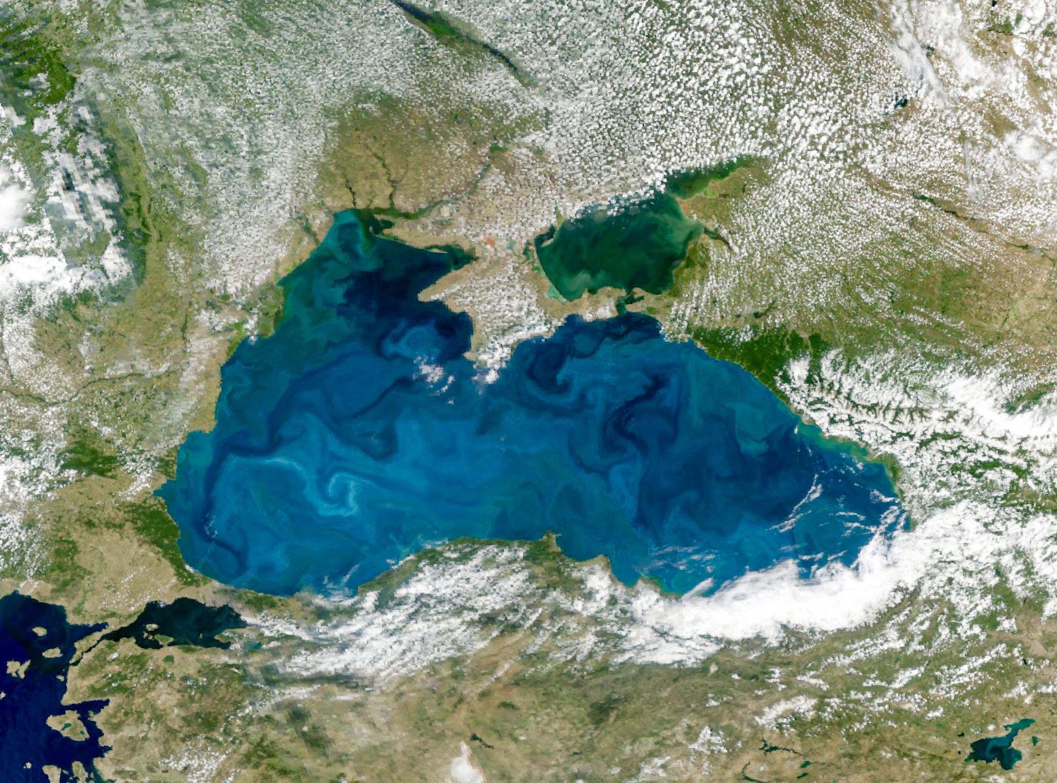 PACE Satellite Imagery of the June 2026 Bloom