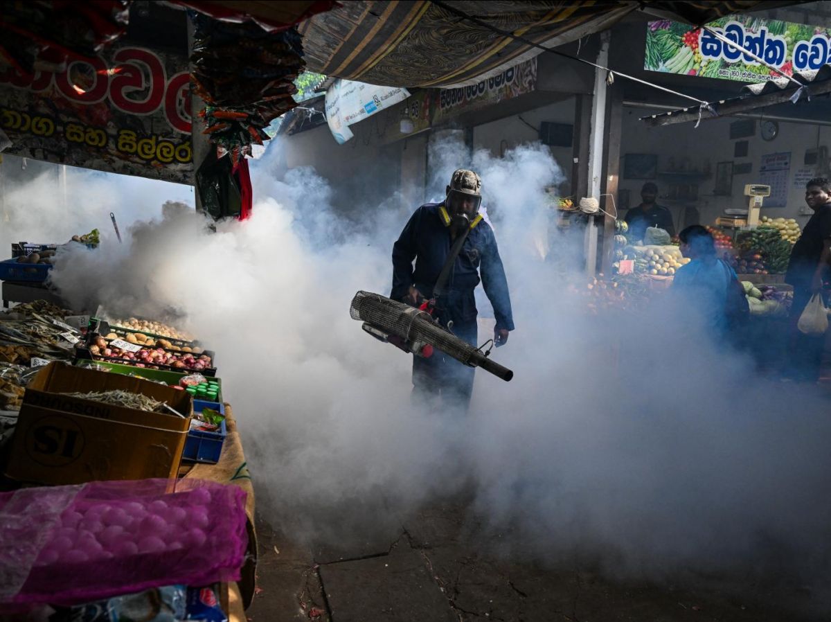 National Dengue Control Unit reports 50 deaths and 68,672 cases
