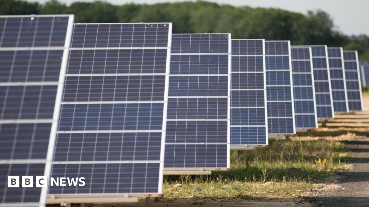 Solar panels lined up in a field, with grass on the foreground and forestry in the background