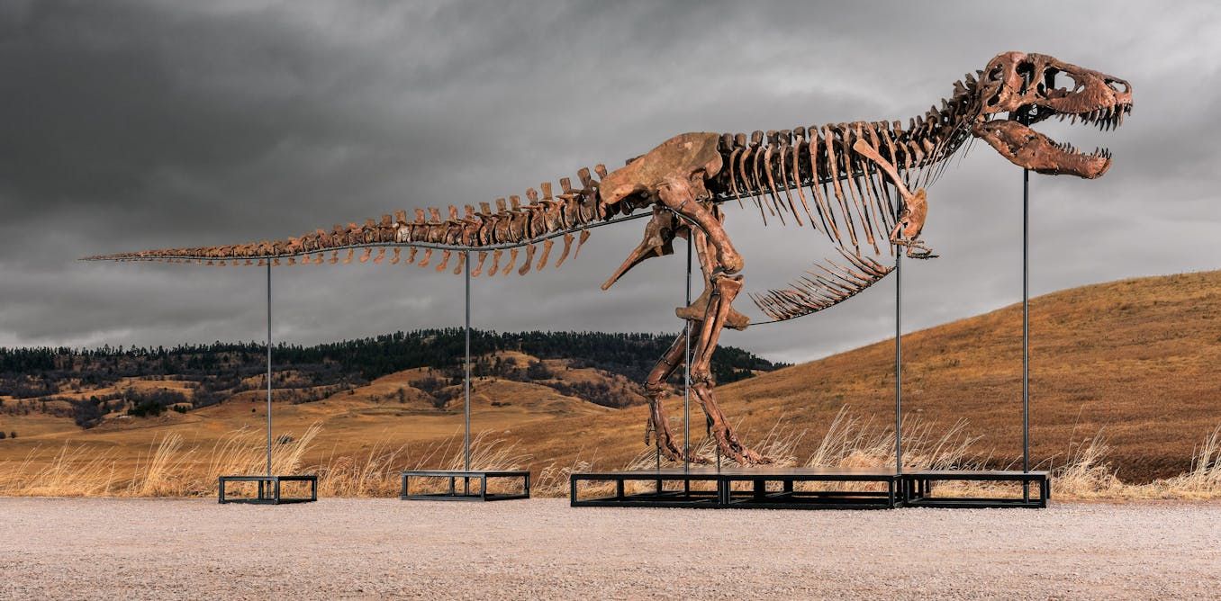 The $50.1 Million Record and the Rise of Luxury Fossils