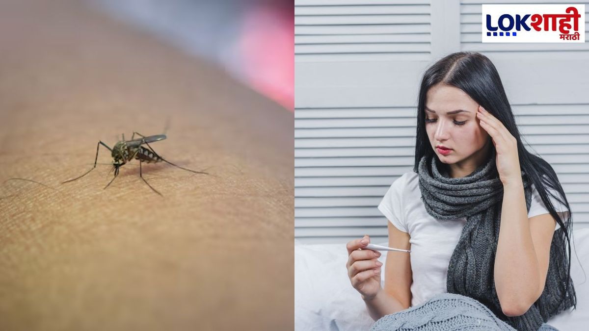 Identifying the Warning Signs of Dengue
