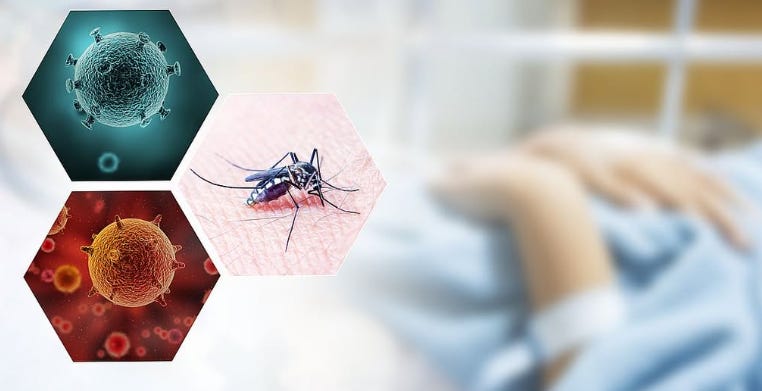 Rise in Japanese Encephalitis Cases Across Taiwan