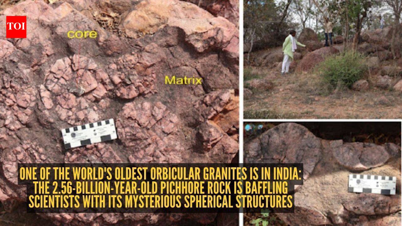 Decoding the Chemistry of the Pichhore Granite