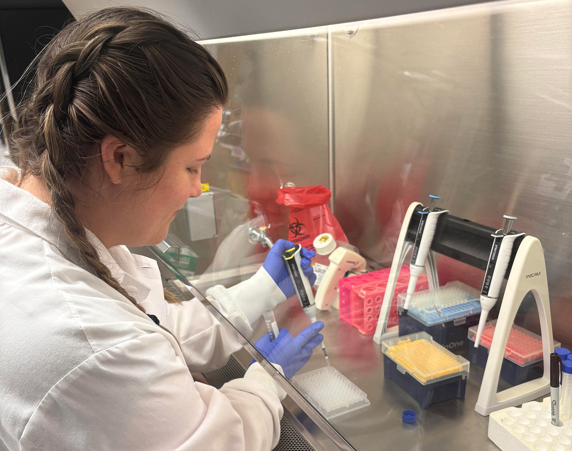 Pathogen2Read: Automating the Genetic Sequencing Bottleneck