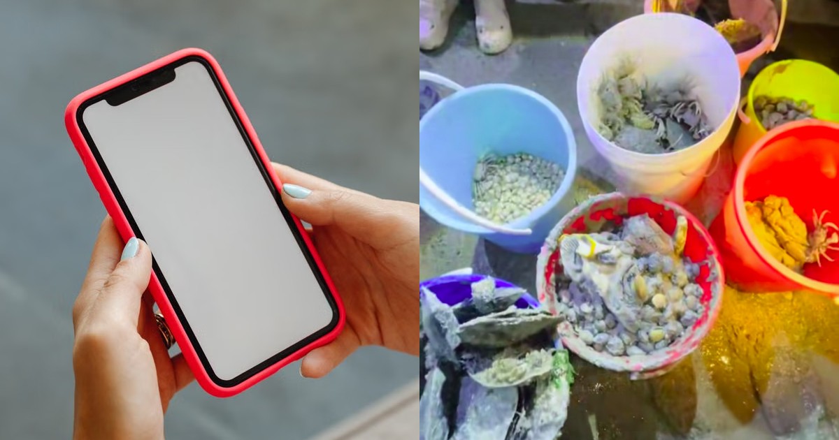 Marine Foraging Chat Group Disbands in Singapore After Backlash