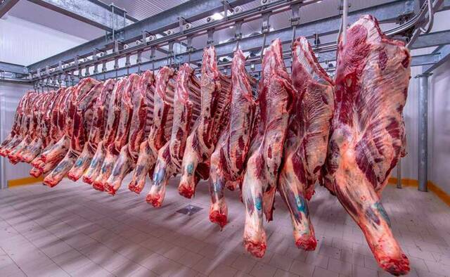 Egypt Poultry Prices Tracked at 96 Pounds Per Kilogram on Tuesday