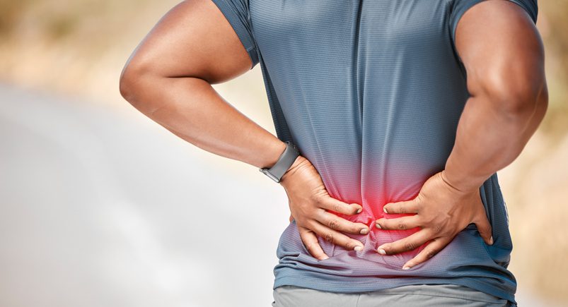 Zebrafish Study Points to Genetic Drivers of Back Pain