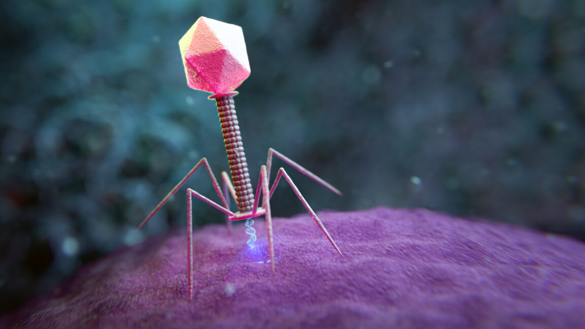 Cartoon image of a virus perched on the surface of a cell, in the process of inserting its genetic material into the cell