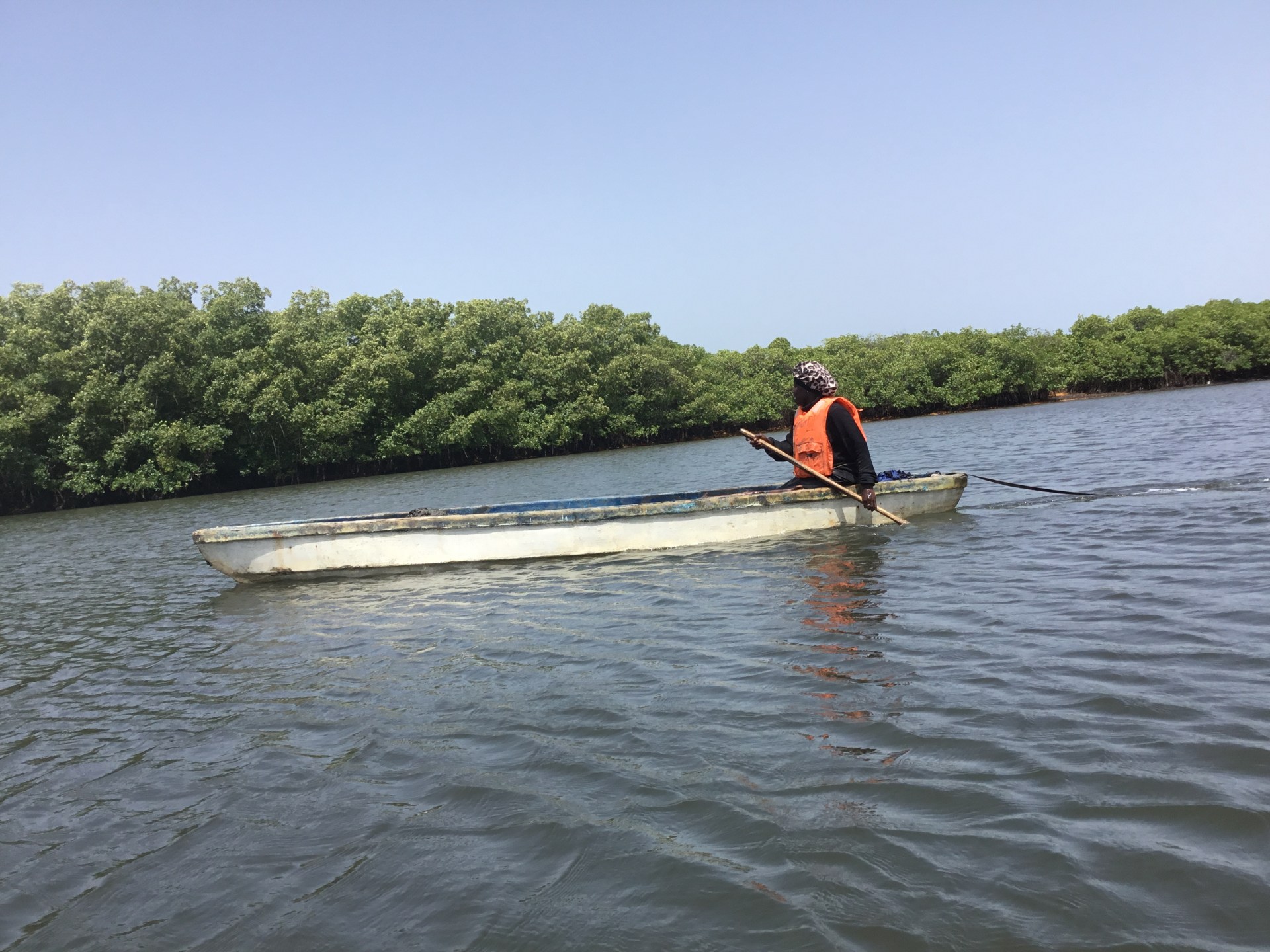 How Gambian women are restoring the mangroves protecting Banjul