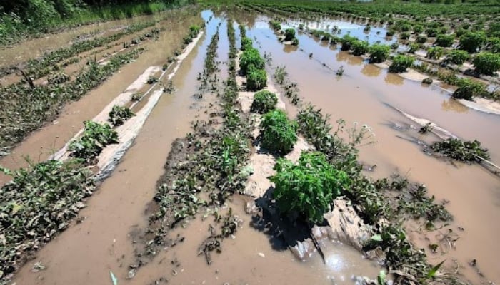 St. Catharines and Lincoln Declare States of Emergency After Massive Flooding