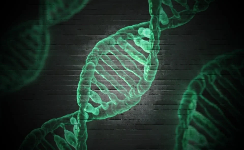 3D Genome Mapping of Rare Immune Cells Reveals New Crohn's Disease Genes