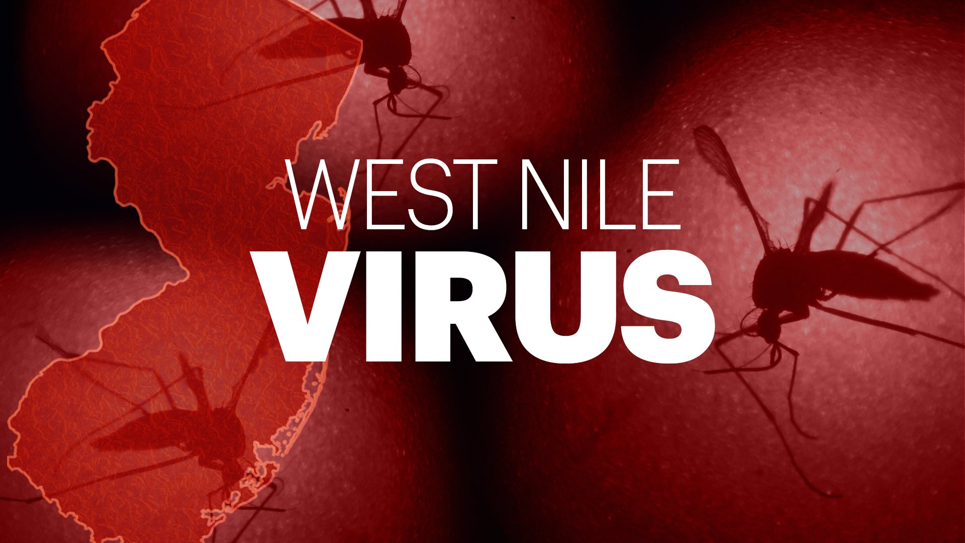 NYC Mosquito Pools Show Near-Double Increase in West Nile Virus