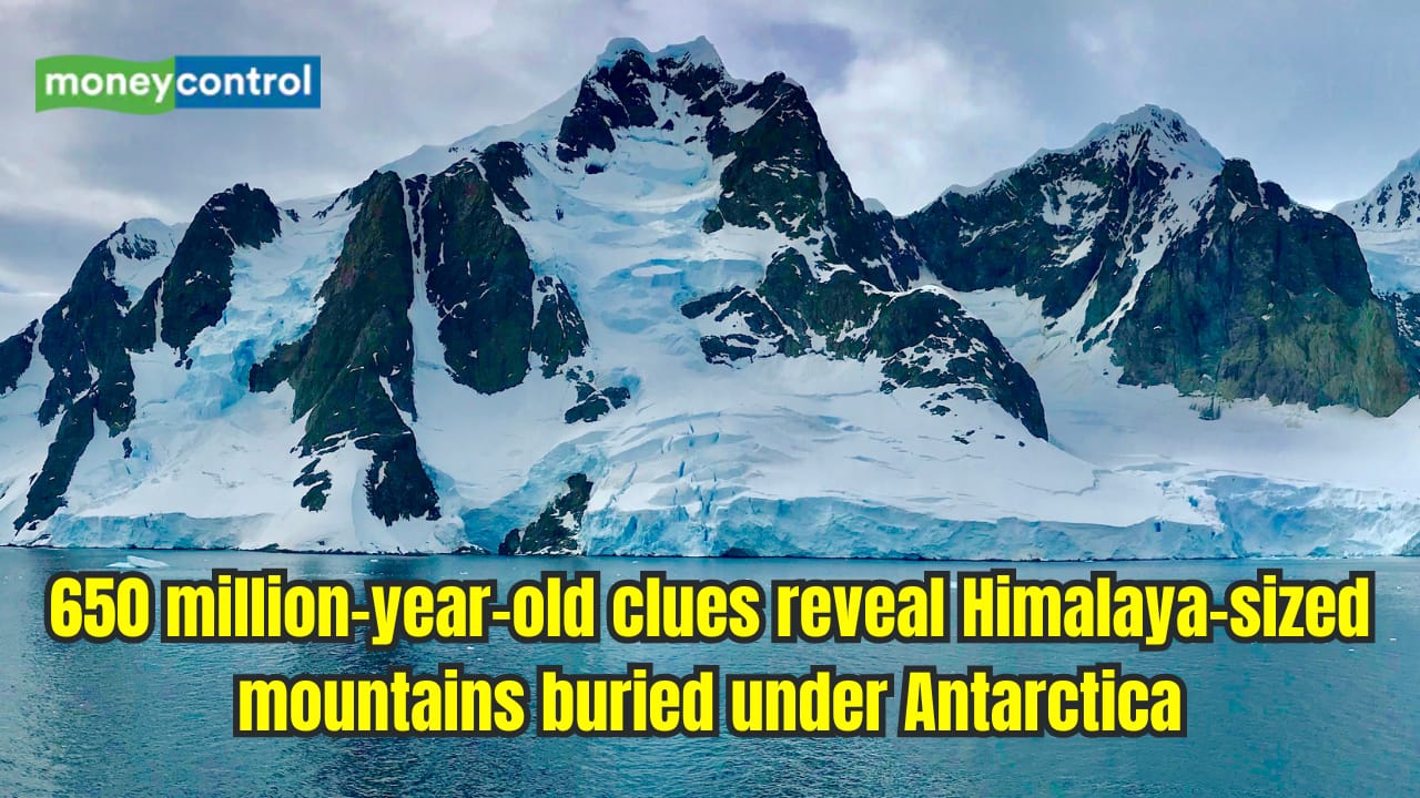 Antarctic Mountains May Have Helped Complex Animal Life Flourish