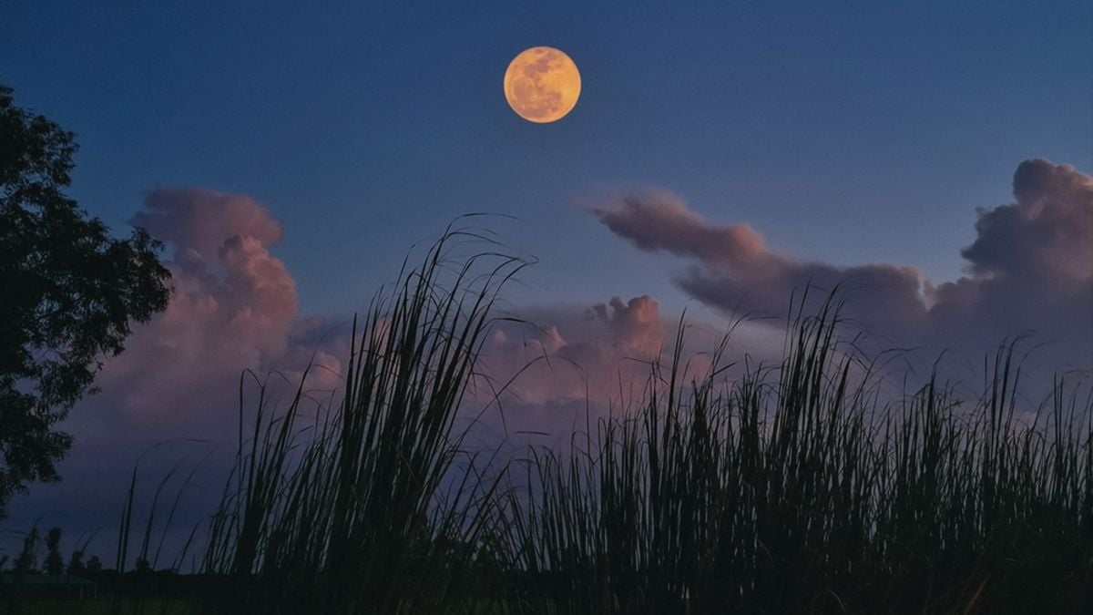 Saturn will be near the Harvest Moon