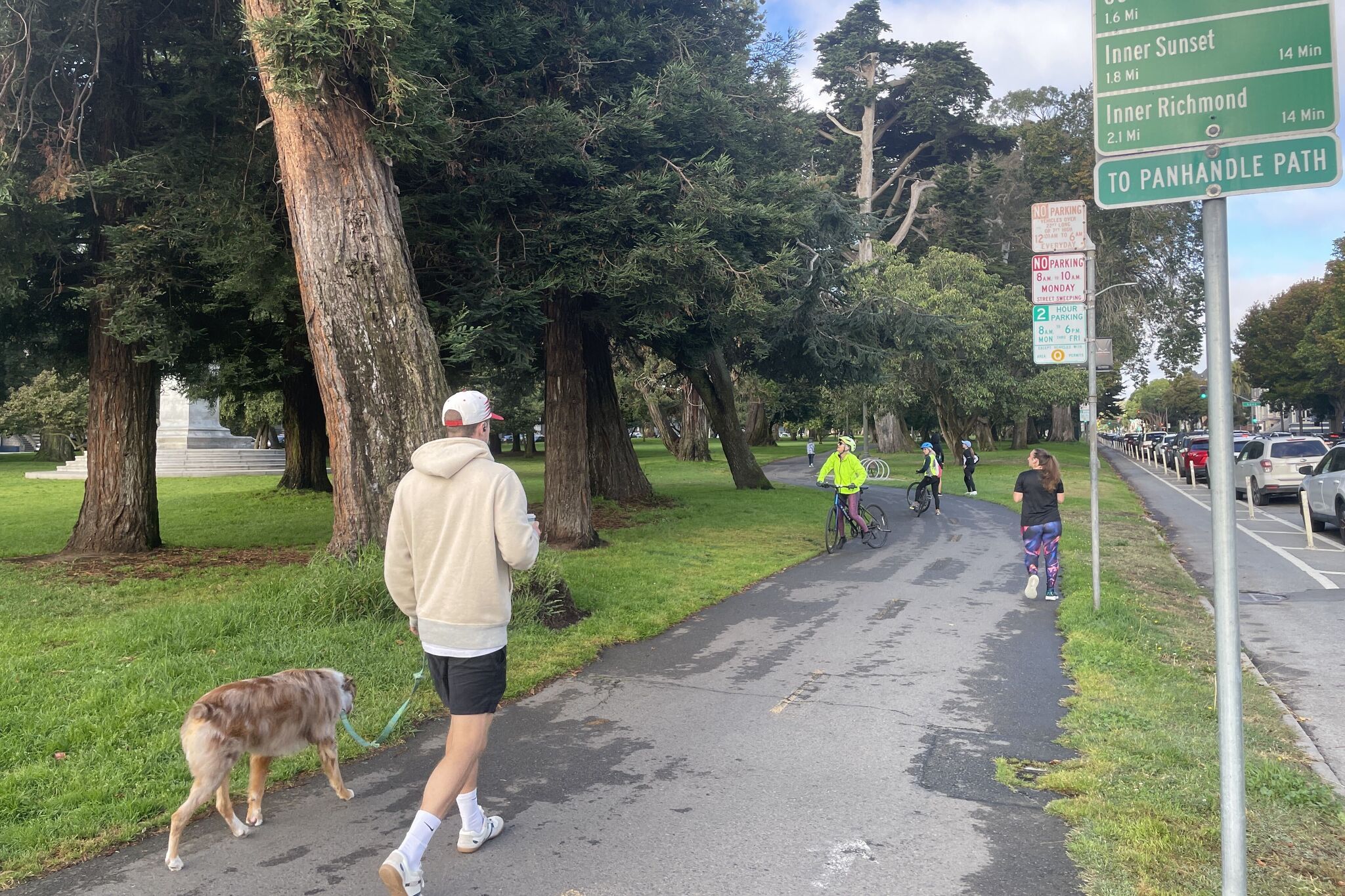 San Francisco Officials Lift Mountain Lion Threat After Big Cat Leaves Park